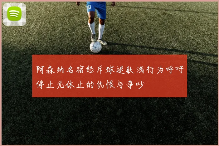 阿森纳名宿怒斥球迷肤浅行为呼吁停止无休止的仇恨与争吵